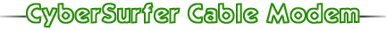 cyber surfer.gif (4828 bytes)